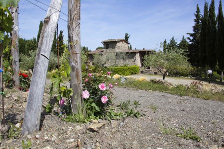 chianti e vacanze