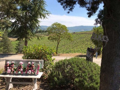 Arriva l'estate a Ceperano