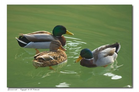 Agriturismi e natura